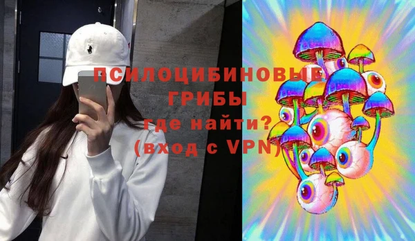 марки lsd Богородицк