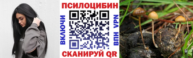 Псилоцибиновые грибы мухоморы мега Козьмодемьянск